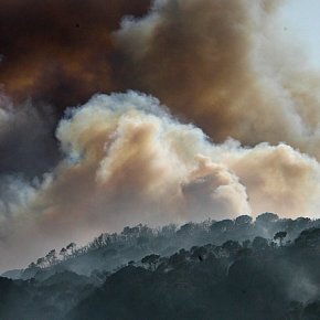 Un incendi arrasa el massís de&nbsp;l´Ardenya