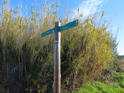 Pal senyalitzador Far