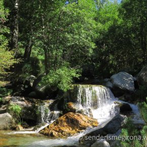 Ruta 23. Setcases, volta al riu&nbsp;Carboner.