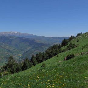 Ruta 34. Camprodon per la carena de Serra&nbsp;Cavallera.