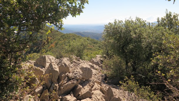 Carena Puig Bestracà