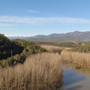 Ruta 40. Crespià a Pedrinyà i Sant Miquel de la&nbsp;Roca.