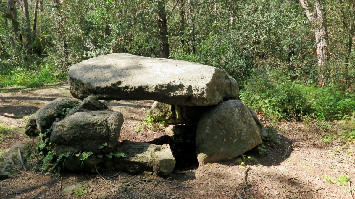 Dolmen Can Torrents