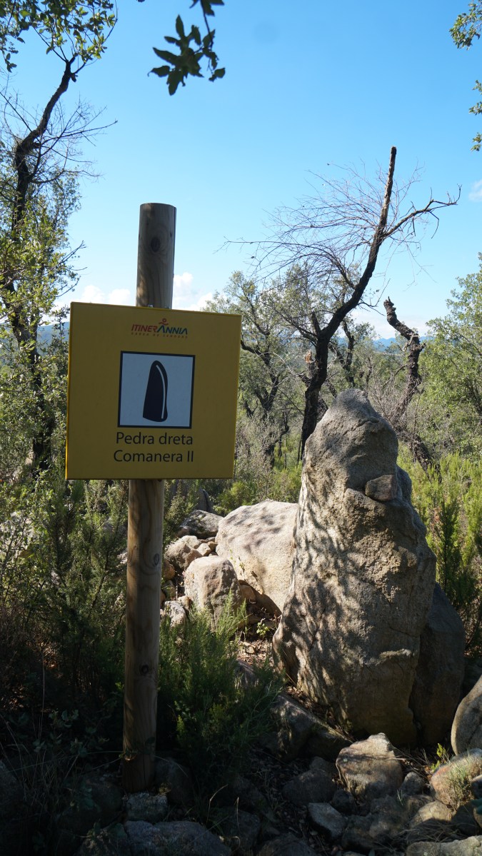 Pedra dreta Comanera II
