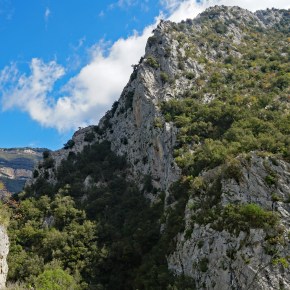 Ruta 81. Oix al grau&nbsp;d´Escales.