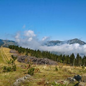 Ruta 109. Molló al Puig&nbsp;Moscós.