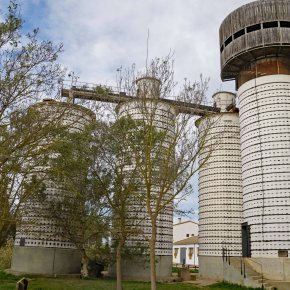 Ruta 117. Parc Aiguamolls de l´Empordà rutes 1 i&nbsp;2.
