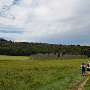Ruta 151.Sant Dalmai-Resclosa d´en Borra-Ermita Sant Llop-Volcà de la&nbsp;Crosa.