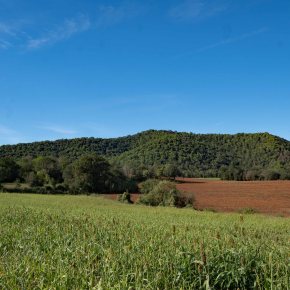 Ruta 157. Serinyà-La Barraca-Puig de ca&nbsp;n´Hortós.