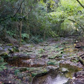 Ruta 164. Canet d´Adri-Gorgues i font de la Torre-Riera de Rocacorba-Cova&nbsp;Boratuna.