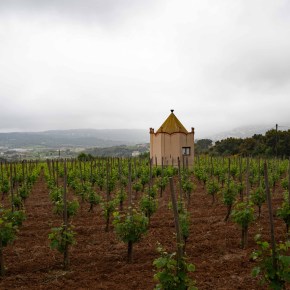 R169. Calonge-Mas Molla-Mas Ribot-Puig Cargol-Torre&nbsp;Lloreta.