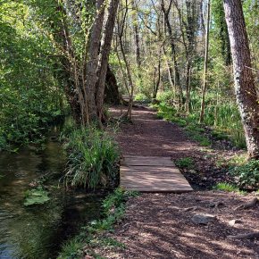 Ruta 181. Aiguamolls de la Moixina-Creu del Triai-St Cristòfol de les Fonts-Fageda d´en&nbsp;Jordà.